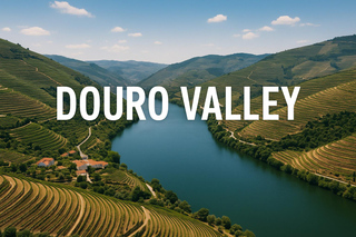 Porto: Douro Valley with Small Wineries, Lunch and Boat Tour