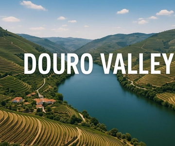 Porto: Douro Valley with Small Wineries, Lunch and Boat Tour