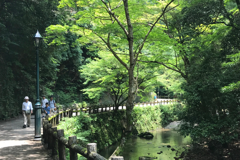 Marche dans la forêt de Mino à Osaka et chute d&#039;eau géante avec déjeuner local