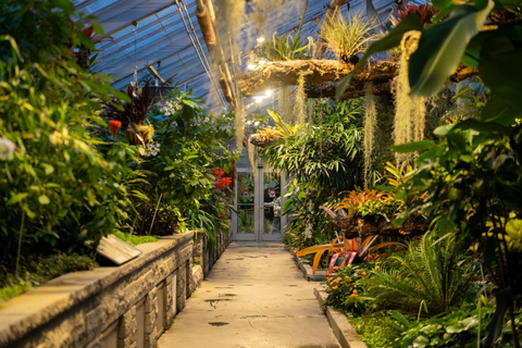 Montreal Botanical Garden & Insectarium Private Guided Tour 3-hour: Montreal Botanical Garden Tour & Transport