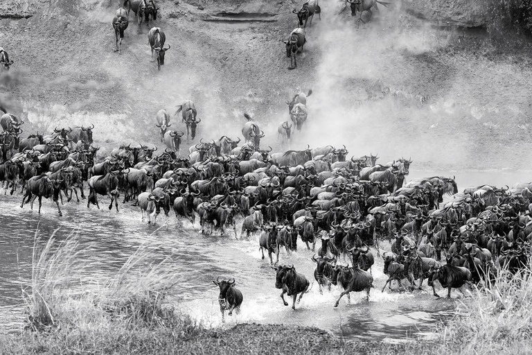 Przejażdżka do Tarangire, Serengeti i krateru Ngorongoro