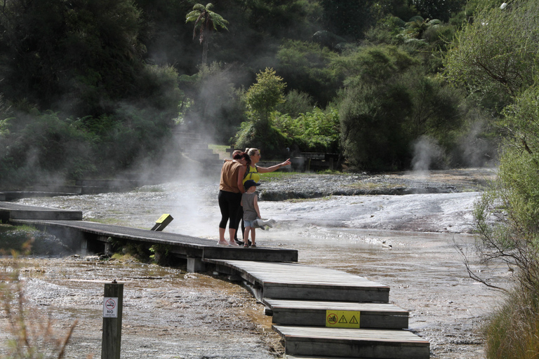 Desde Auckland: Excursión de un día en grupo a la Cueva de Waitomo y Orakei Korako