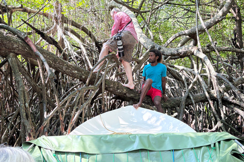 Bentota: River Boat Safari and Tuk-Tuk Ride with Pickup-Drop