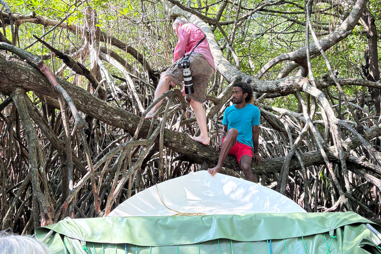 Bentota: River Boat Safari and Tuk-Tuk Ride with Pickup-Drop