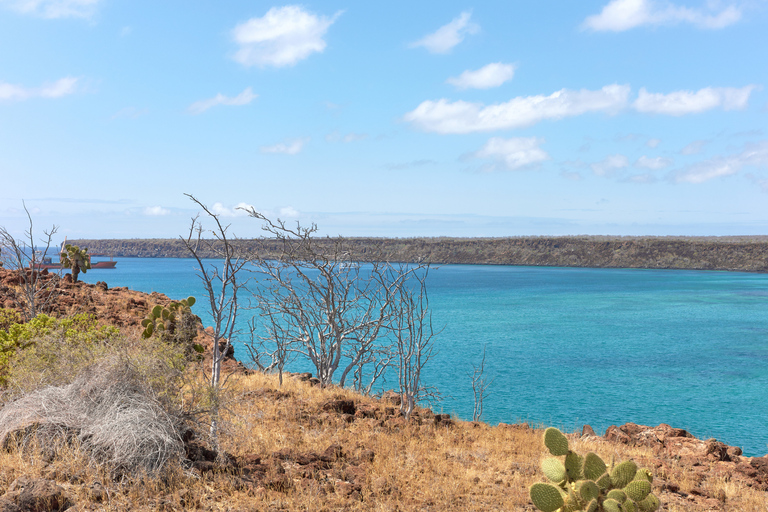 Santa Cruz in One Day with Arrival Transfer