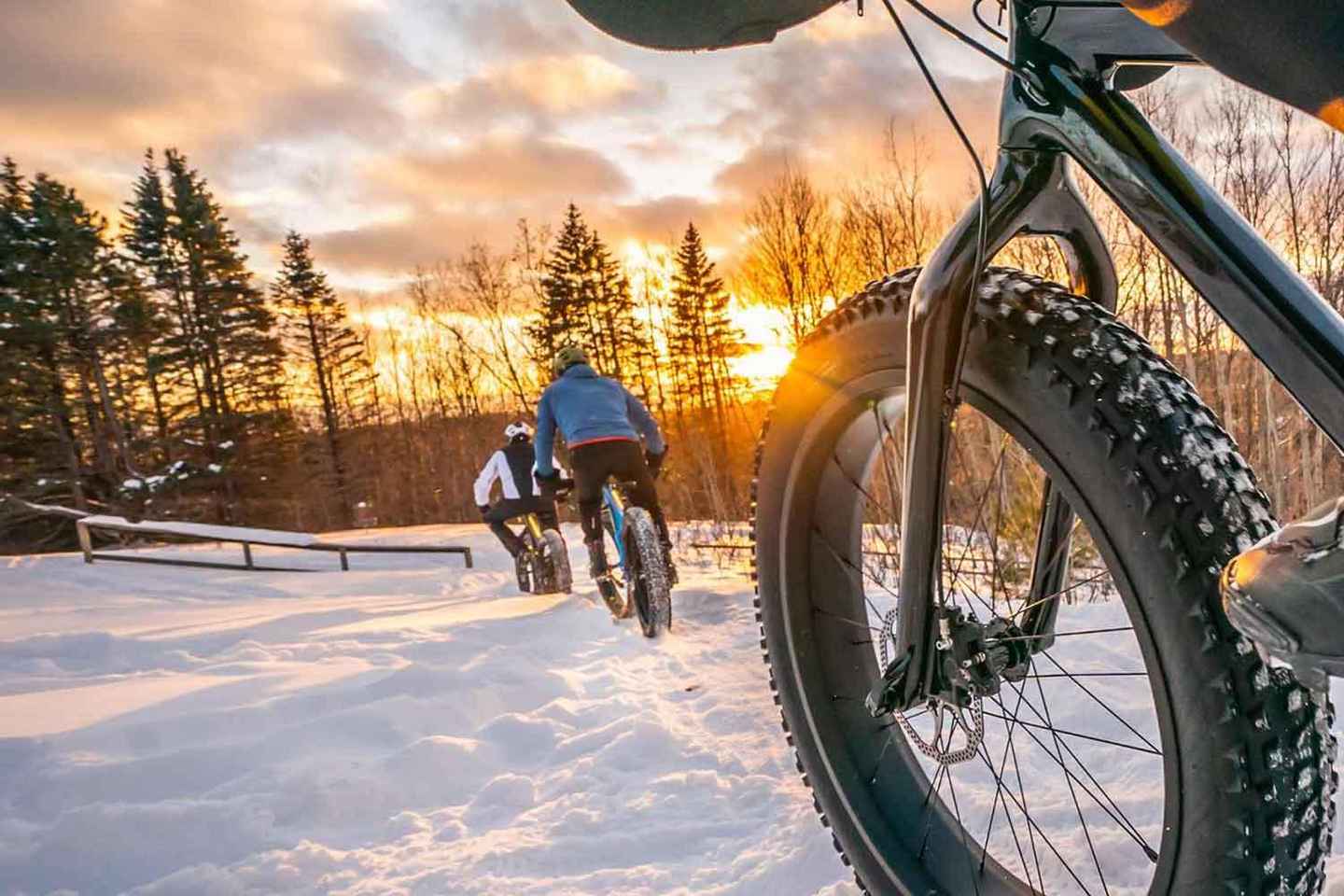 Luleå: Fatbike Rental, explore Luleå like a Local!