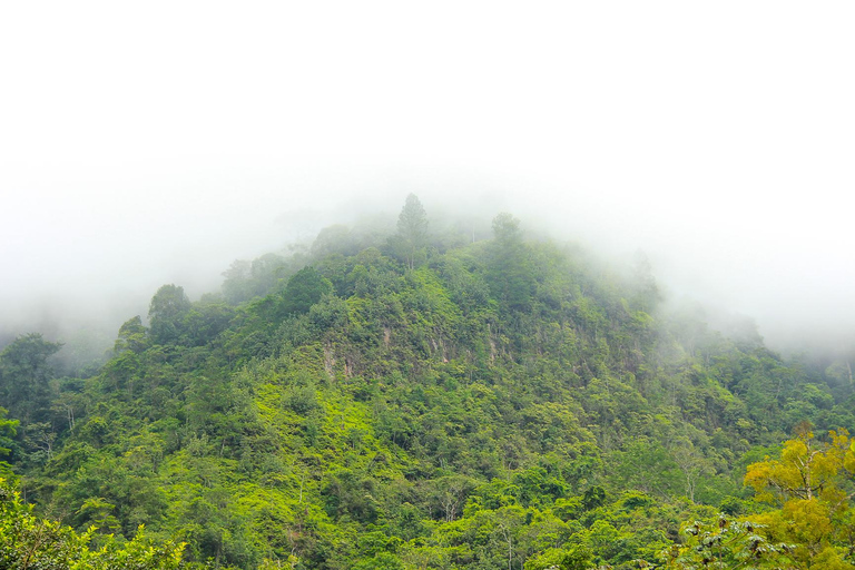 San Pedro Sula: Azul Meámbar National Park Day Trip