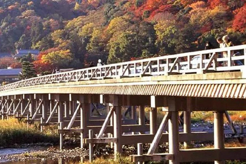 من أوساكا: جولة ليوم واحد في كيوتو ونارا وفوشيمي إناري وأراشياماTrip including Sagano Romantic Train