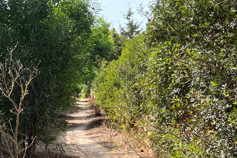 Malta, Parque Natural de Il-Majjistral: Caminhadas e ioga ao ar livre