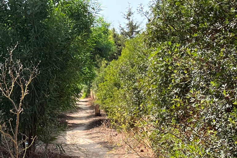 Malta, park przyrody Il-Majjistral: wędrówki i joga na świeżym powietrzu