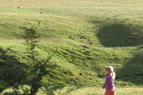 San Martin de los Andes Sightseeing Tour: Mallin Grande