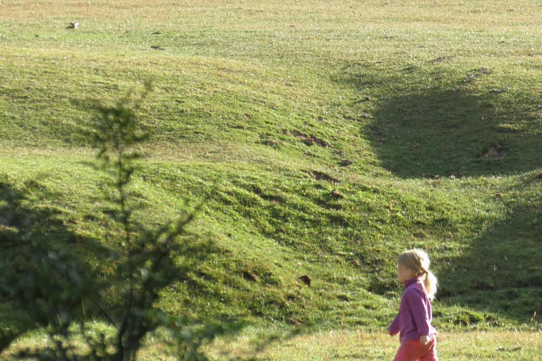 San Martin de los Andes Sightseeing Tour: Mallin Grande