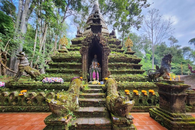 Chiang Mai: Doi Suthep Sunset & Hidden Temple with Guide