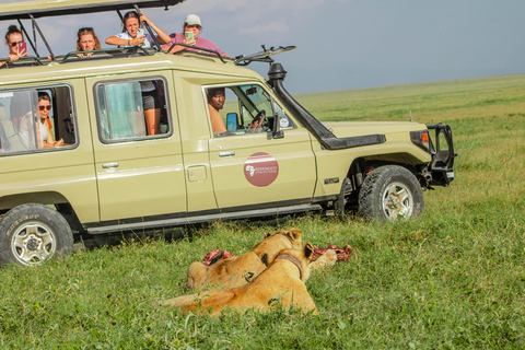 Arusha: 4-tägige Hochzeitsreise-Safari in Tansania mit BallonfahrtArusha: 4-tägige Flitterwochen-Safari in Tansania mit Ballonfahrt