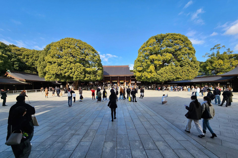 Tokyo Luxury Private City Tour Customizable with Guide