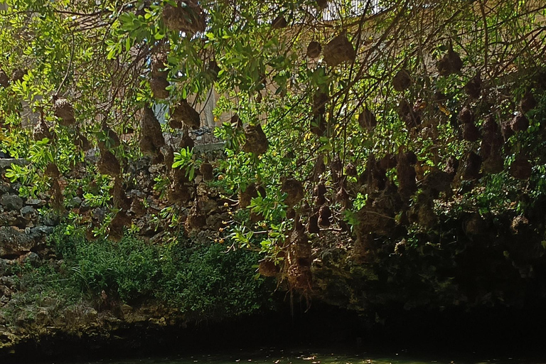 Swimming with turtles at The Lagoons Zanzibar in Nungwi Pickup from Nungwi/kendwa without entrance tickets (10$pp)