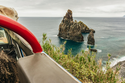 Funchal: Förtrollade terrasser, Porto do Moniz &amp; Fanal 4WD-turDelad tur