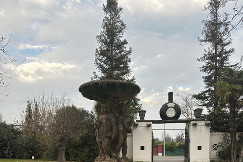Maipo Valley Wine Tour, Santa Rita And Undurraga From STGO