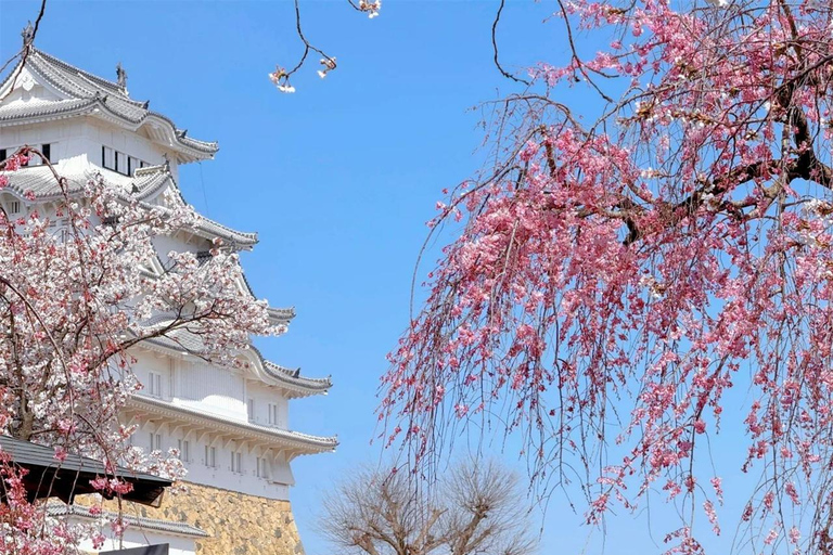 Osaka/Kyoto:Ono Sakura & Himeji Castle Cultural Day Trip Small Group(from/to Osaka)