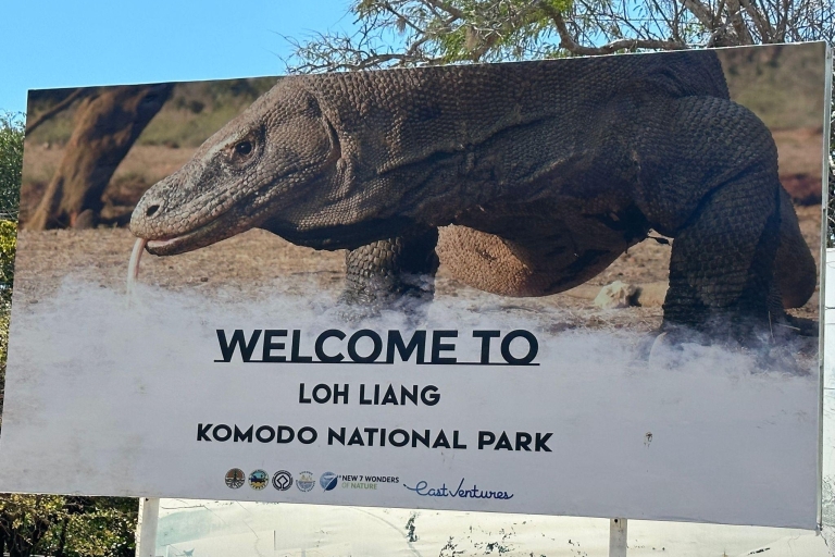 Labuan Bajo: Eintägige Tour zur Erkundung des Komodo NationalparksLabuanbajo: Komodo Insel, Padar Insel, Pink Beach