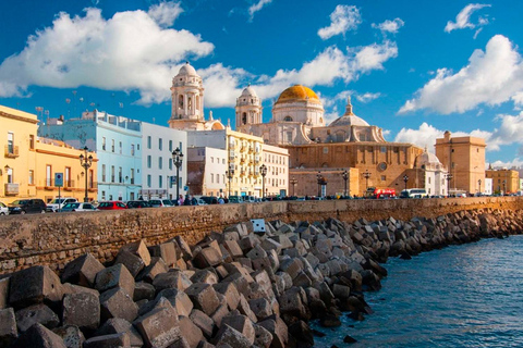 Desde Sevilla: Excursión de un día con guía privado a Cádiz y Jerez