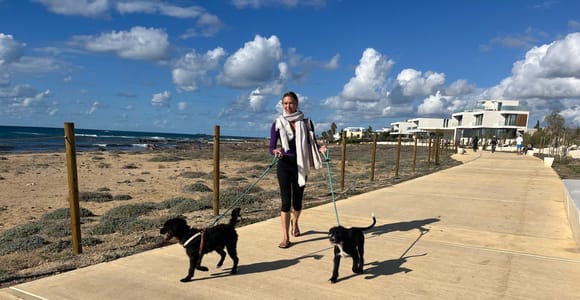 Paphos: Lighthouse Area Beach Walk with Rescue Dogs