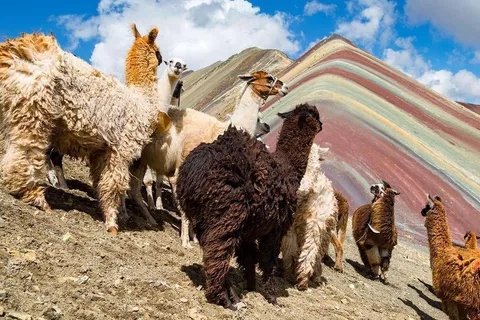 Cusco, Rainbow Mountain, and Machu Picchu 4-Day Tour
