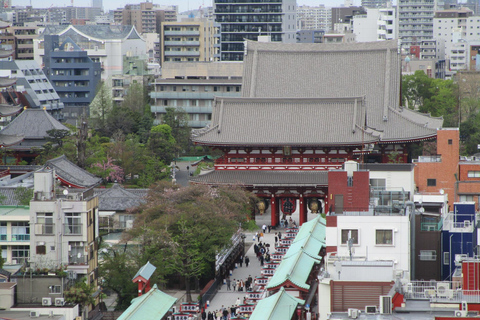 Tokyo Private Tour von und nach Tokyo, Yokohama bis zu 12Von und nach Tokio, Yokohama bis zu 12