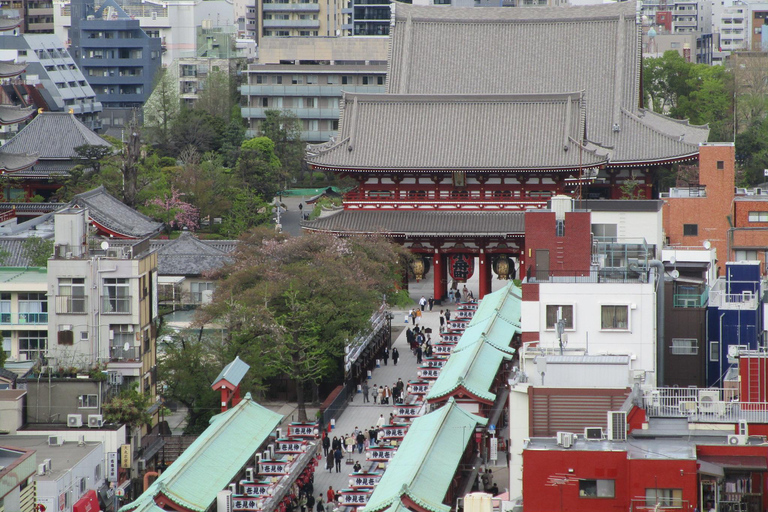 Tokyo Privat tur till och från Tokyo, Yokohama upp till 12Till och från Tokyo, Yokohama upp till 12