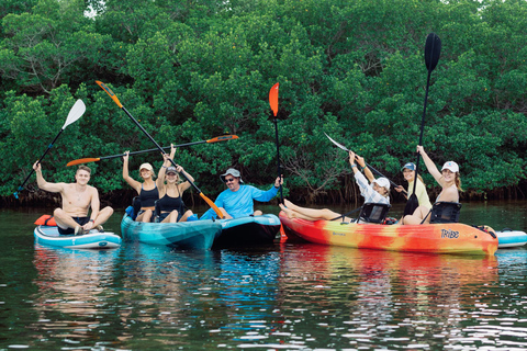 Sarasota: Guided Mangrove Tunnel Kayak Tour Lido Key