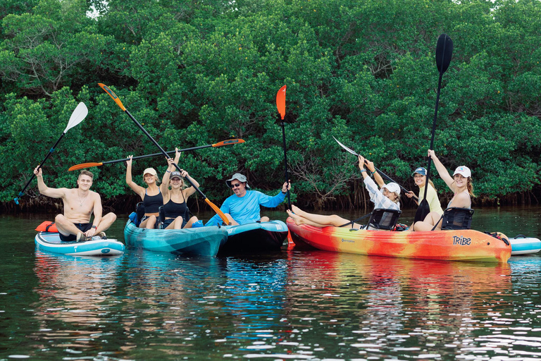 Sarasota: Guided Mangrove Tunnel Kayak Tour Lido Key
