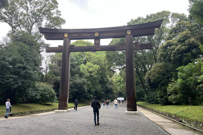 Tour privado en coche por Tokio - Guía de habla inglesa