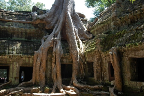 3 Days-Angkor Temple Complex, Rolous Group &Floating village