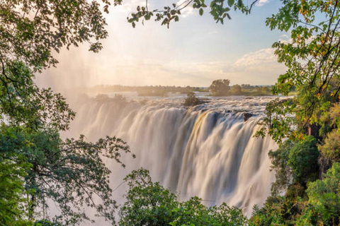 Sunrise Tour of Victoria Falls via Big Tree & Falls Bridge