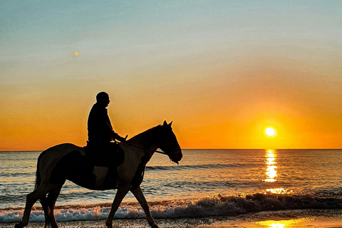 St Lucia: Private Sunset Beach Horse Ride + Pickup available