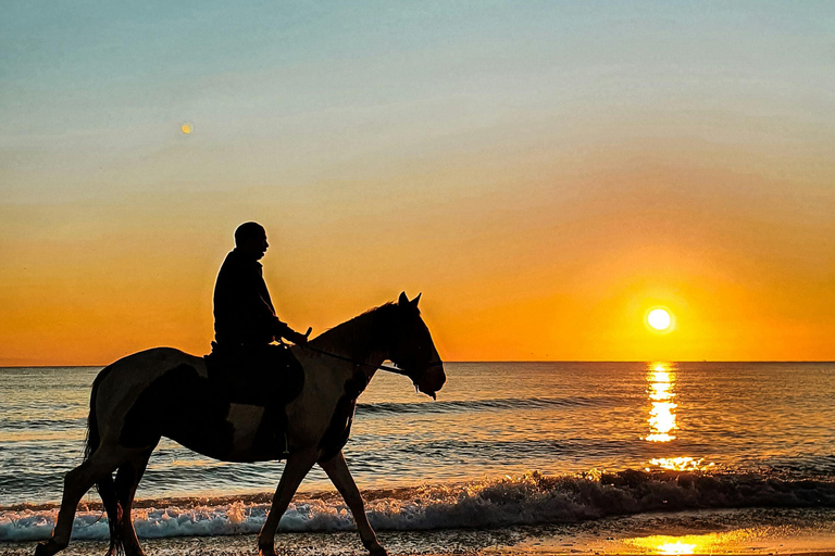 St Lucia: Private Sunset Beach Horse Ride + Pickup available