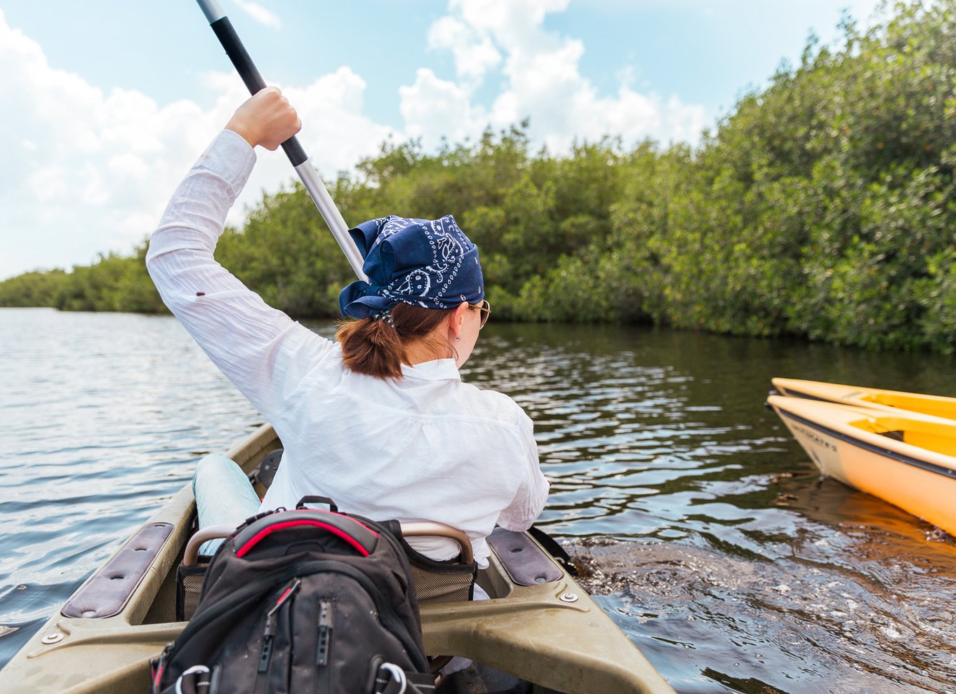 Everglades National Park: Mangrovetunnel-kajak-økotur