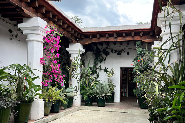 Spacer po centrum Oaxaca