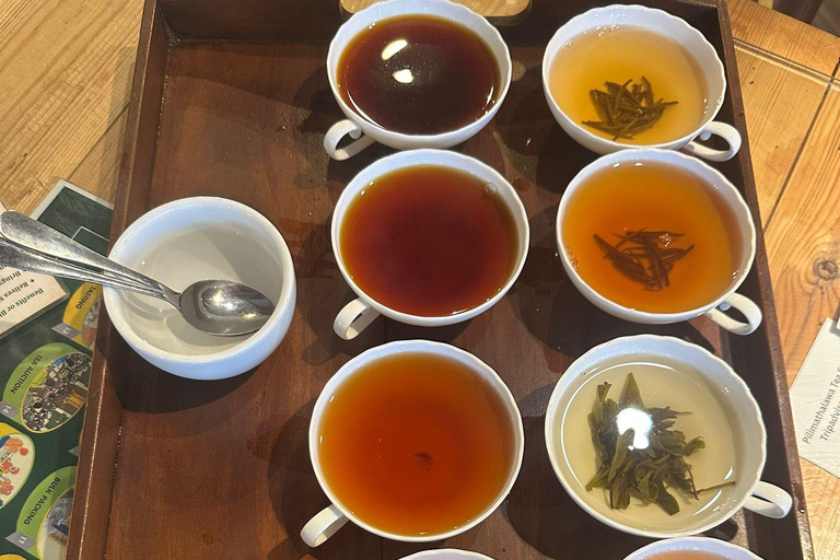 The Best Kandy Tuk-Tuk city Tour with a Professional Guide