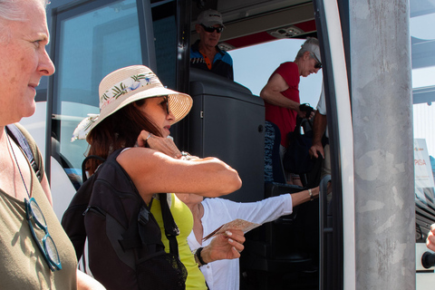 Från Livornos kryssningshamn: Busstransfer till Pisa och LuccaEndast överföring