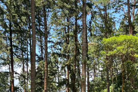 Colombo to Ambuluwawa Tower Private Day Trip 12 Hours