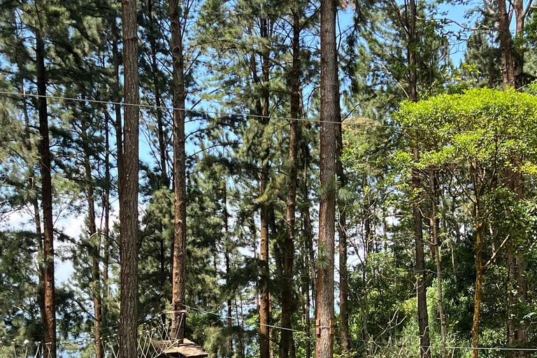 Colombo to Ambuluwawa Tower Private Day Trip 12 Hours