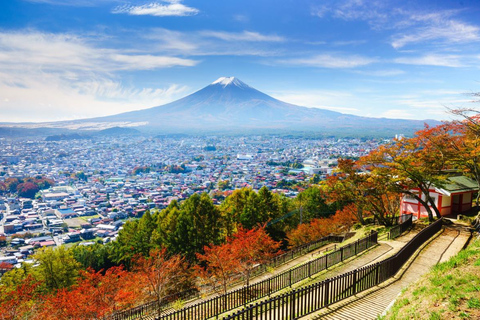 Tokyo: Mt Fuji&Chureito Pagoda&Lake Kawaguchi&Oshino Hakkai Free Karaage Chicken Set | 8AM Tokyo Station Departure