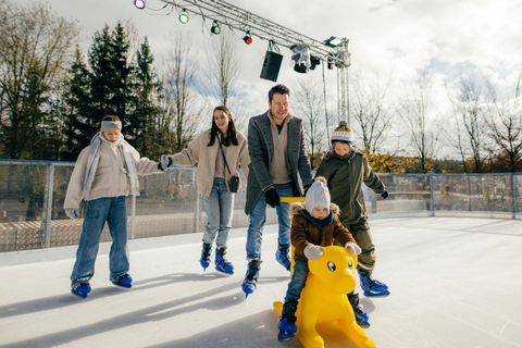 LEGOLAND® Deutschland Resort: IngressoIngresso WinterWonder Saver