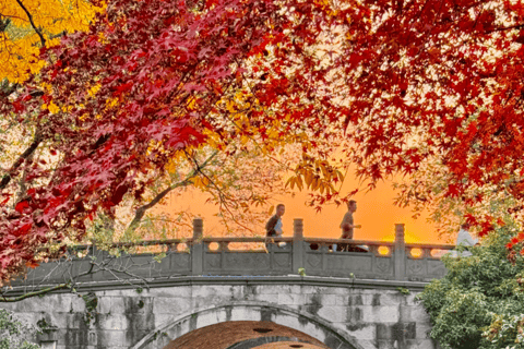 Hangzhou: Impression West Lake Show + Pickup Service Show Ticket（No pick up& drop off）