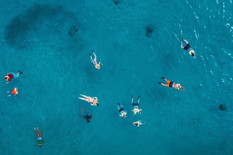 Oahu : Aventure de plongée avec masque et tuba pour les tortues de Waikiki