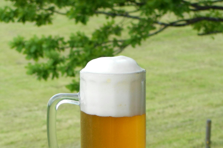 VIP Tour: Nürnberg-Munich-Salzburg + Transfer, Hotel & Meals