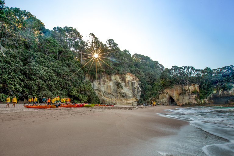 Auckland: Coromandel Peninsula Ferry and Bus Transfer 7:00pm One Way Coromandel to Auckland Ferry & Bus Transfer