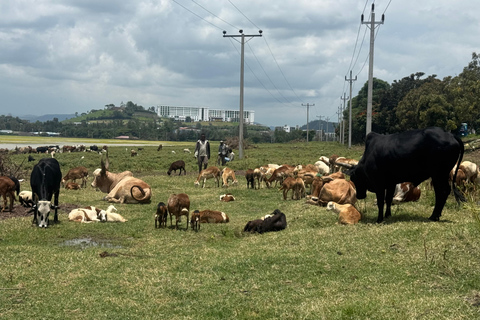 Addis Abeba: jeziora Bishoftu i kultura – wycieczka 1-dniowa