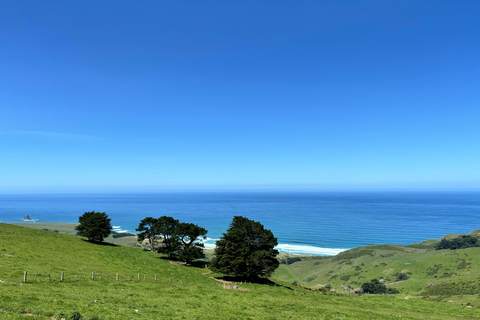 Private Dunedin City Highlights and Otago Peninsula Day Tour Private Dunedin city & Otago Peninsula day Tour (up to 4)